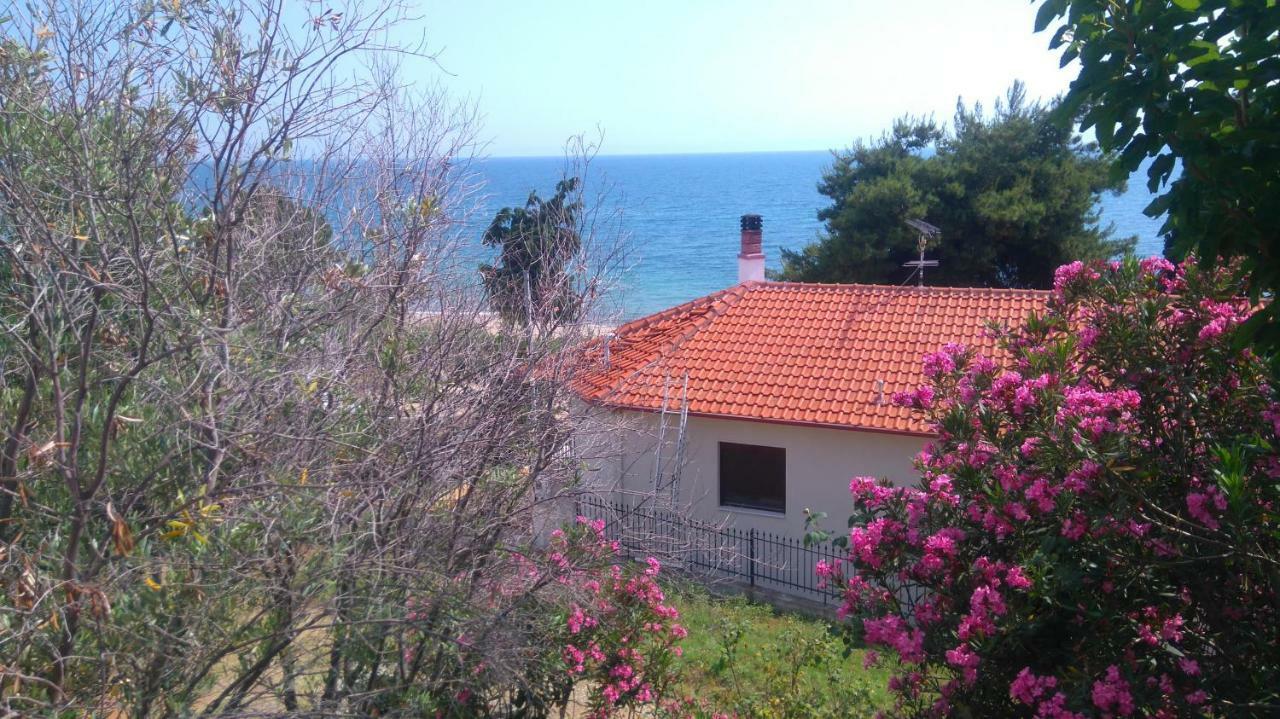Maisonette Close To The Beach Nikiti  Exterior foto